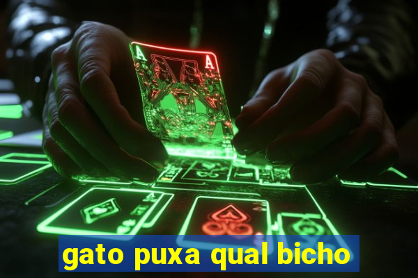 gato puxa qual bicho